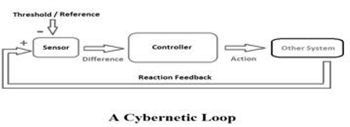 Cybernetic Loop