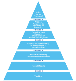 ST and Org Vision